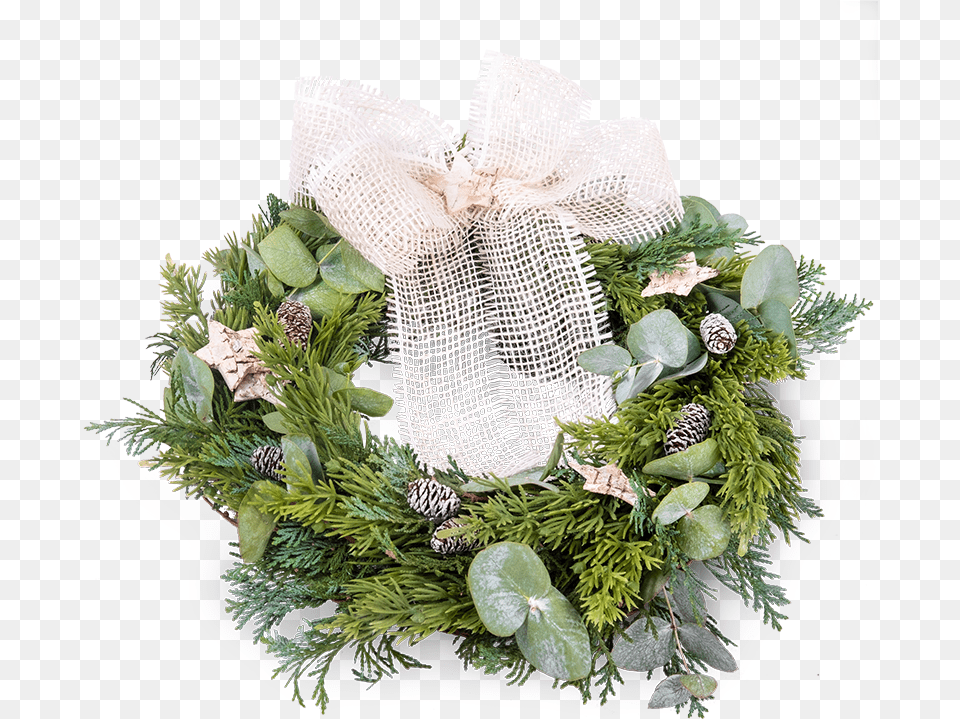 Christmas Wreath Wreath, Flower, Flower Arrangement, Flower Bouquet, Plant Free Transparent Png