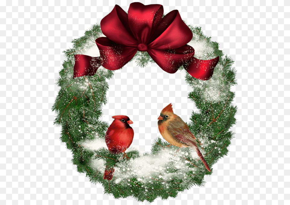Christmas Wreath With Birds, Animal, Bird, Flower, Plant Free Png