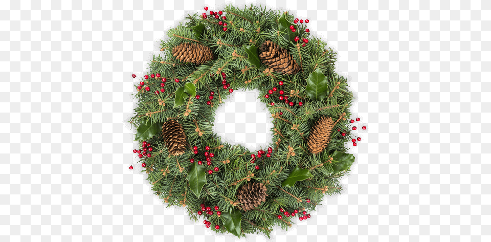 Christmas Wreaths Amp Garlands Christmas Ornament, Wreath, Plant Free Png