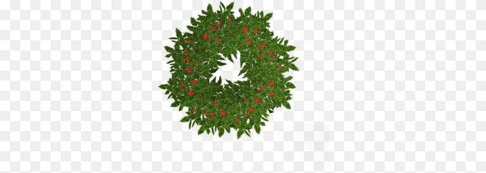 Christmas Wreaths My Ordinary Life Wreath, Plant, Tree, Animal, Bird Png Image