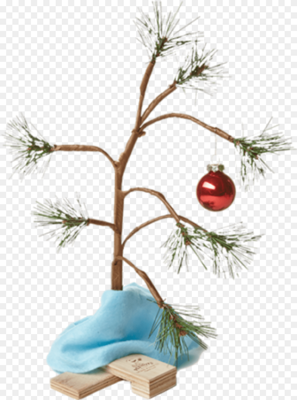 Christmastree Christmas Charliebrown Charliebrownchristmas Transparent Charlie Brown Christmas Tree, Plant, Christmas Decorations, Festival, Flower Free Png Download