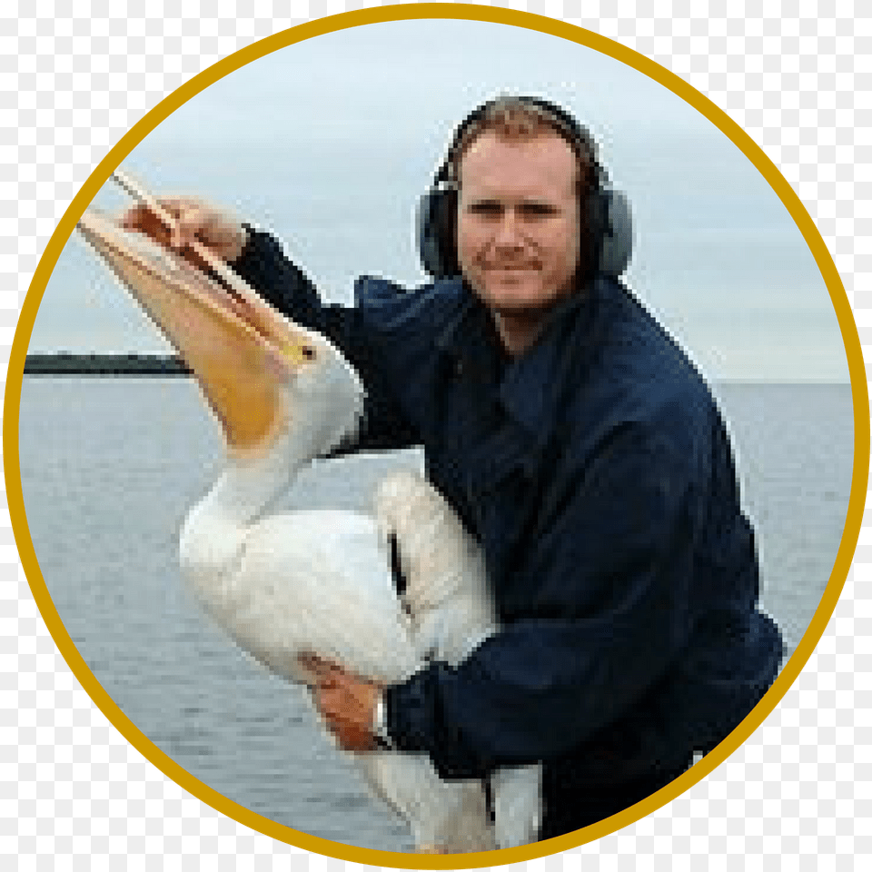 Christopher Boykin Pelican, Waterfowl, Animal, Bird, Person Free Png Download