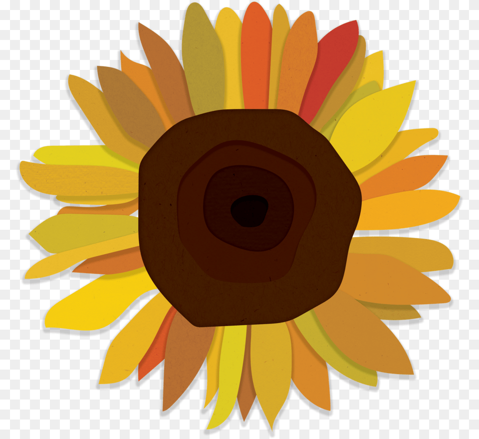 Christopher Bryant Sunflower, Flower, Plant, Daisy Free Png