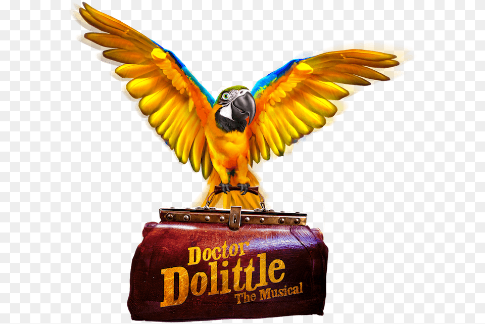 Christopher Renshaw Cast Of Doctor Dolittle Musical, Animal, Bird, Beak, Parrot Free Transparent Png