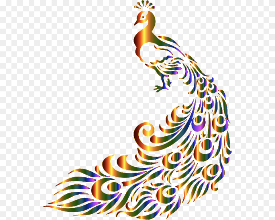 Chromatic Peacock 7 No Background Border Design For Painting, Animal, Bird, Pattern Png