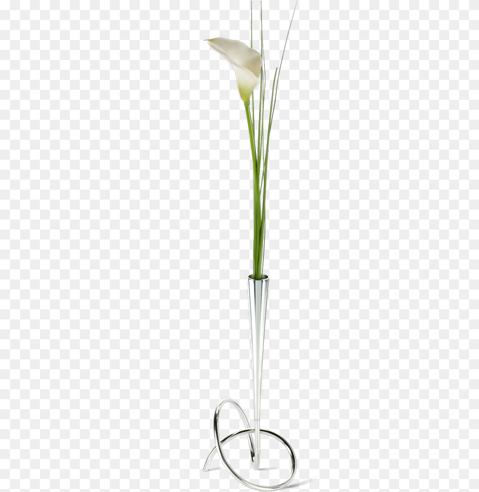 Chrome Loop Vase, Flower, Flower Arrangement, Jar, Plant Free Transparent Png