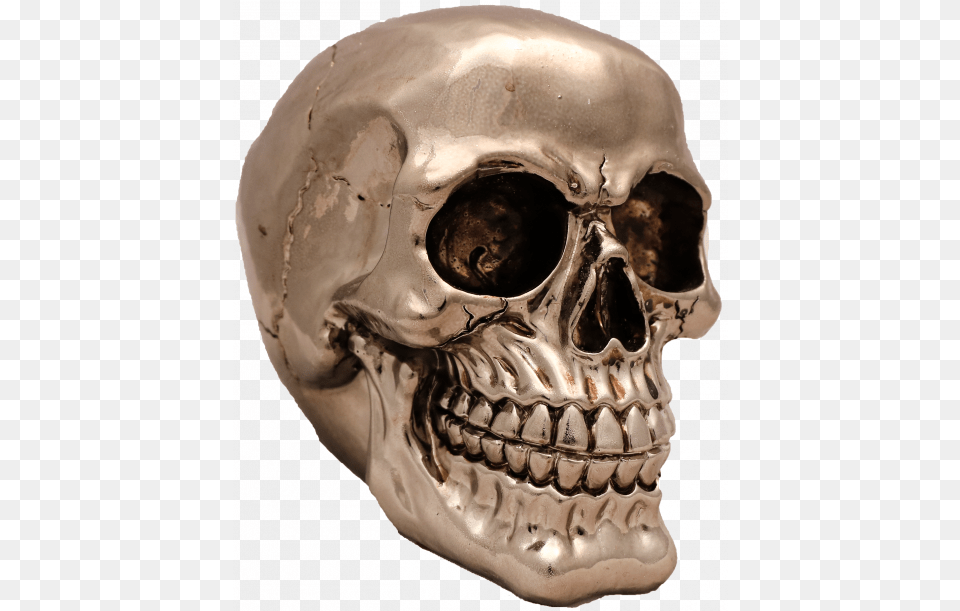 Chrome Skull Chromeskull Laid To Rest, Person, Head Free Transparent Png