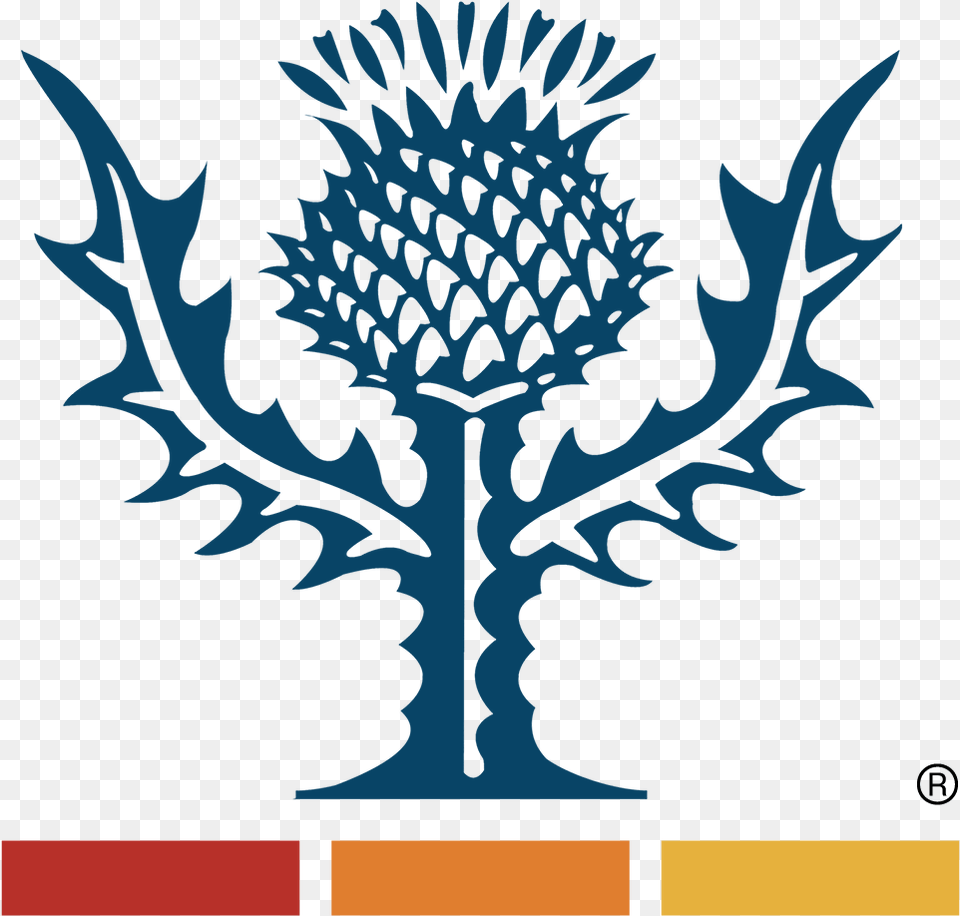 Chrome Store Logo, Flower, Plant, Thistle, Leaf Free Transparent Png