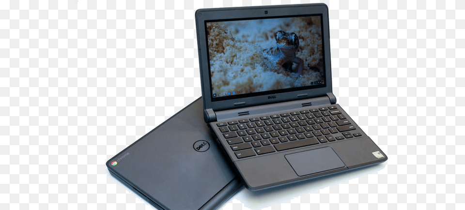 Chromebook 2015, Computer, Electronics, Laptop, Pc Free Png