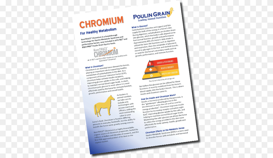 Chromium For Healthy Metabolism Horizontal, Advertisement, Poster, Animal, Horse Png