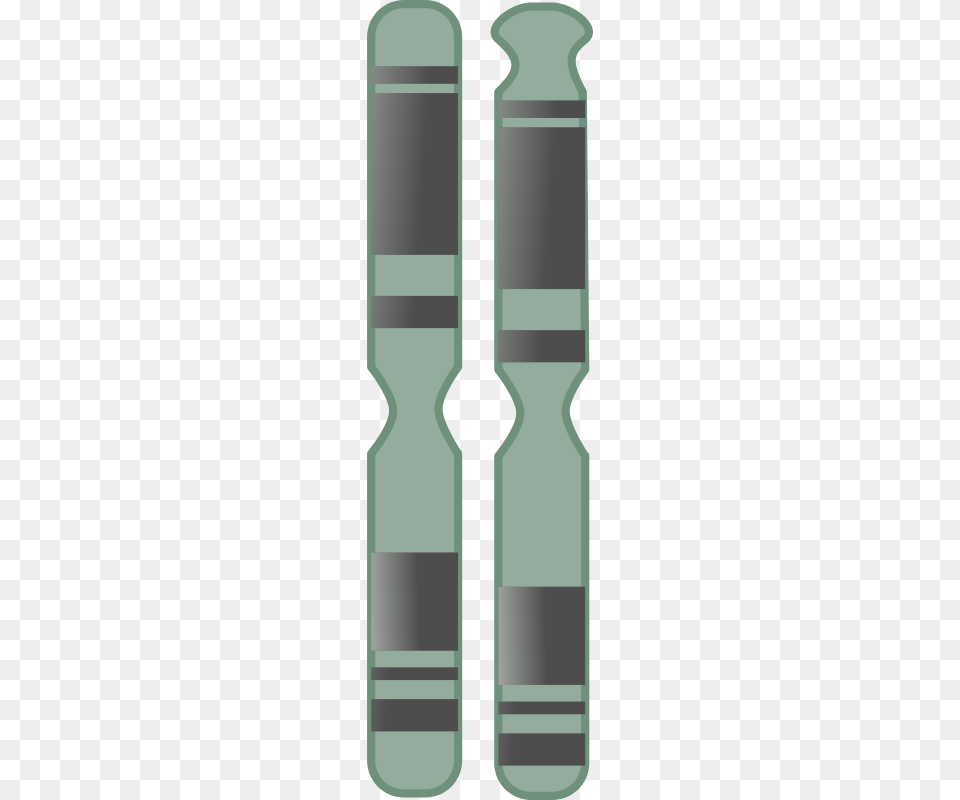 Chromosome Png Image