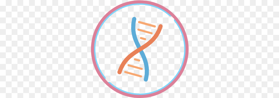 Chromosome Dna Testing Chromosome Icon, Text, Disk Free Png