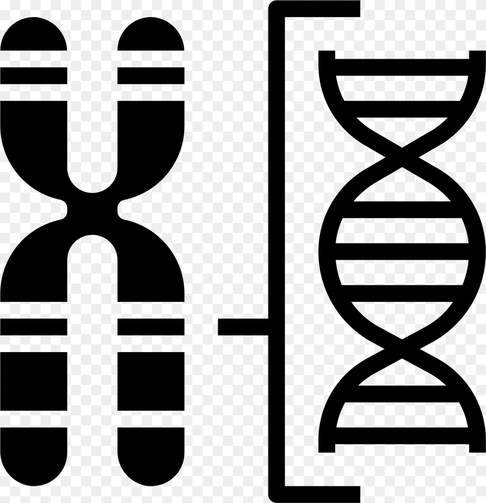 Chromosome Icon, Gray Png