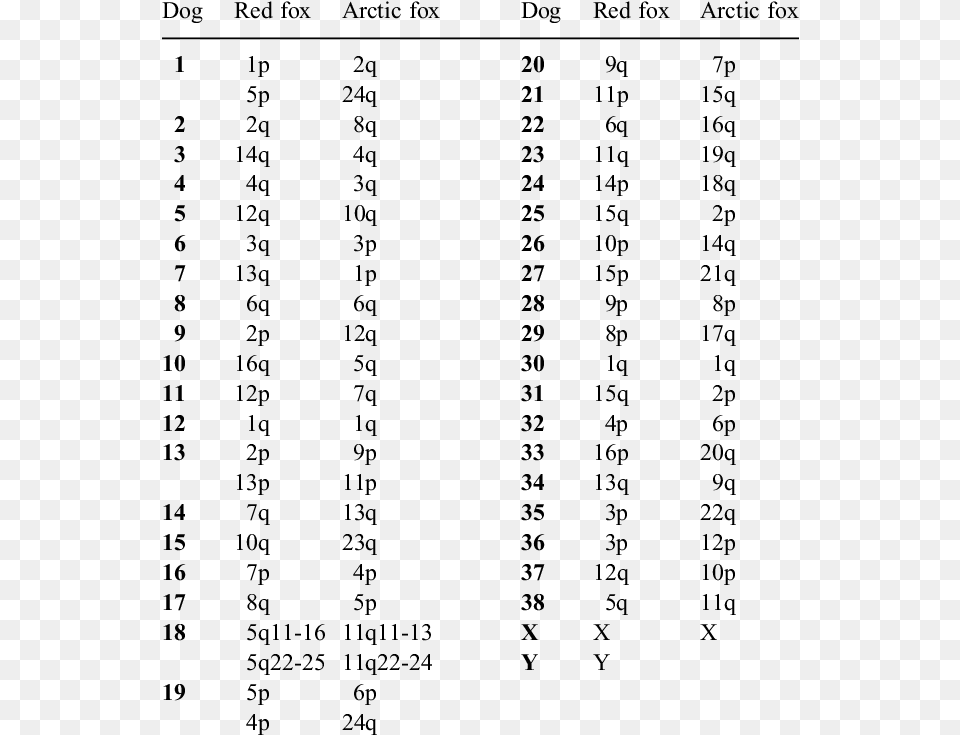 Chromosome Number Of Dog, Gray Free Transparent Png