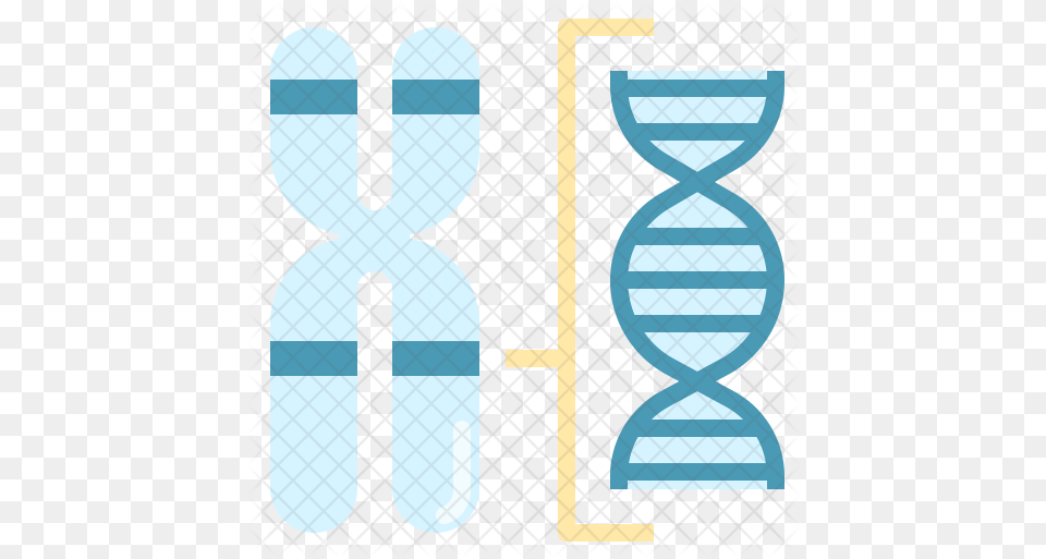 Chromosome Structure Icon Louvre, Hourglass Png