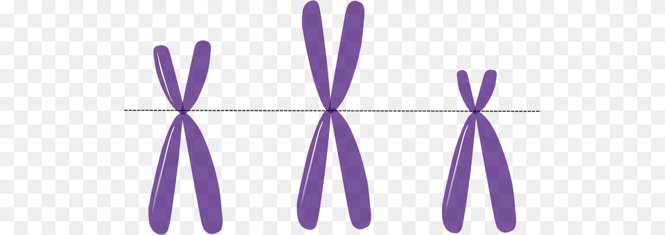 Chromosomes Purple, Accessories, Formal Wear, Tie Png Image