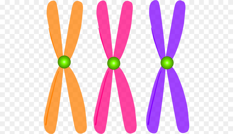 Chromosomes Clip Art Clip Art Chromosomes, Accessories, Formal Wear, Purple, Tie Free Png Download