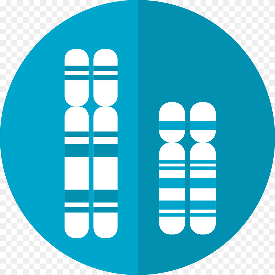 Chromosomes Clipart, Medication, Pill Free Png