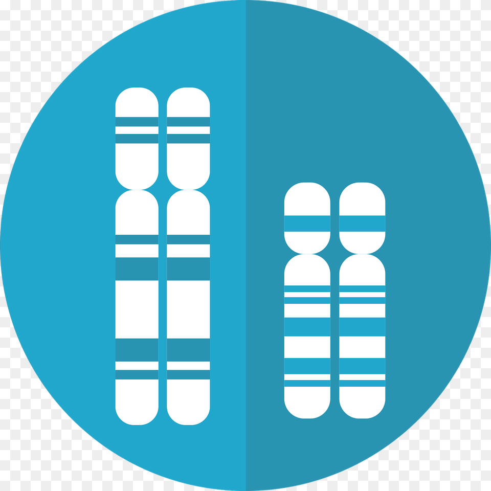 Chromosomes Genetics Dna Genes Chromosome Chromosome Graphic, Medication, Sphere, Disk, Pill Free Transparent Png