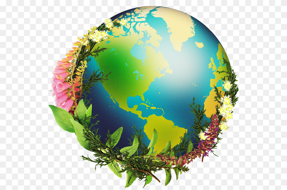 Chrysalis Natural Medicine Globe, Sphere, Plant, Astronomy, Outer Space Free Png