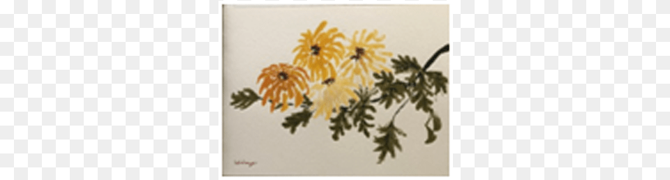 Chrysanthemum, Art, Pattern, Painting, Herbs Png Image