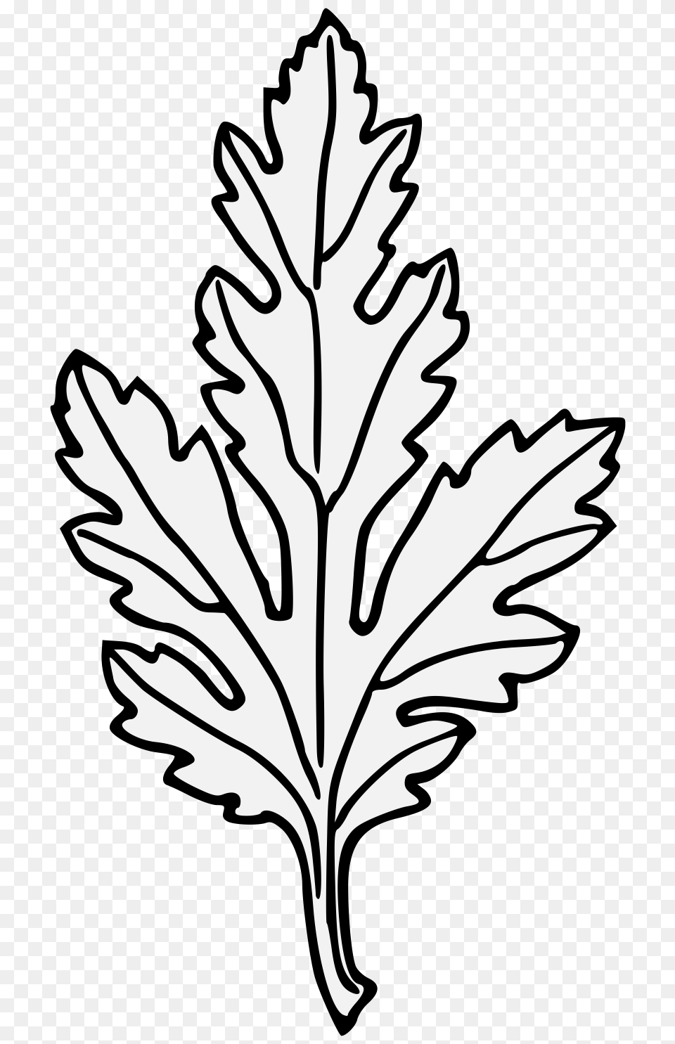 Chrysanthemum, Leaf, Plant, Stencil, Person Free Png Download