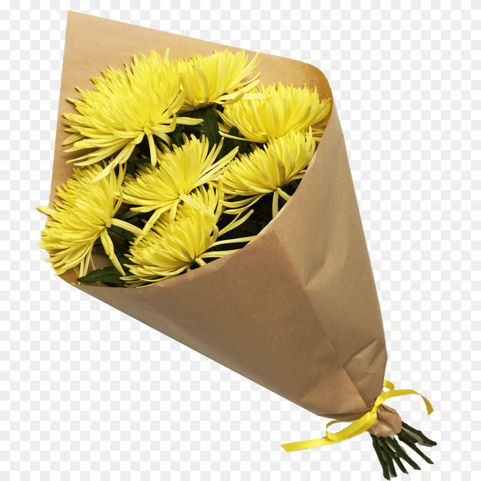 Chrysanthemum Bouquet House Of Flowers, Flower, Flower Arrangement, Flower Bouquet, Plant Free Png