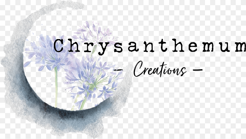 Chrysanthemum Creations Jasmine, Flower, Plant, Petal, Agapanthus Png Image