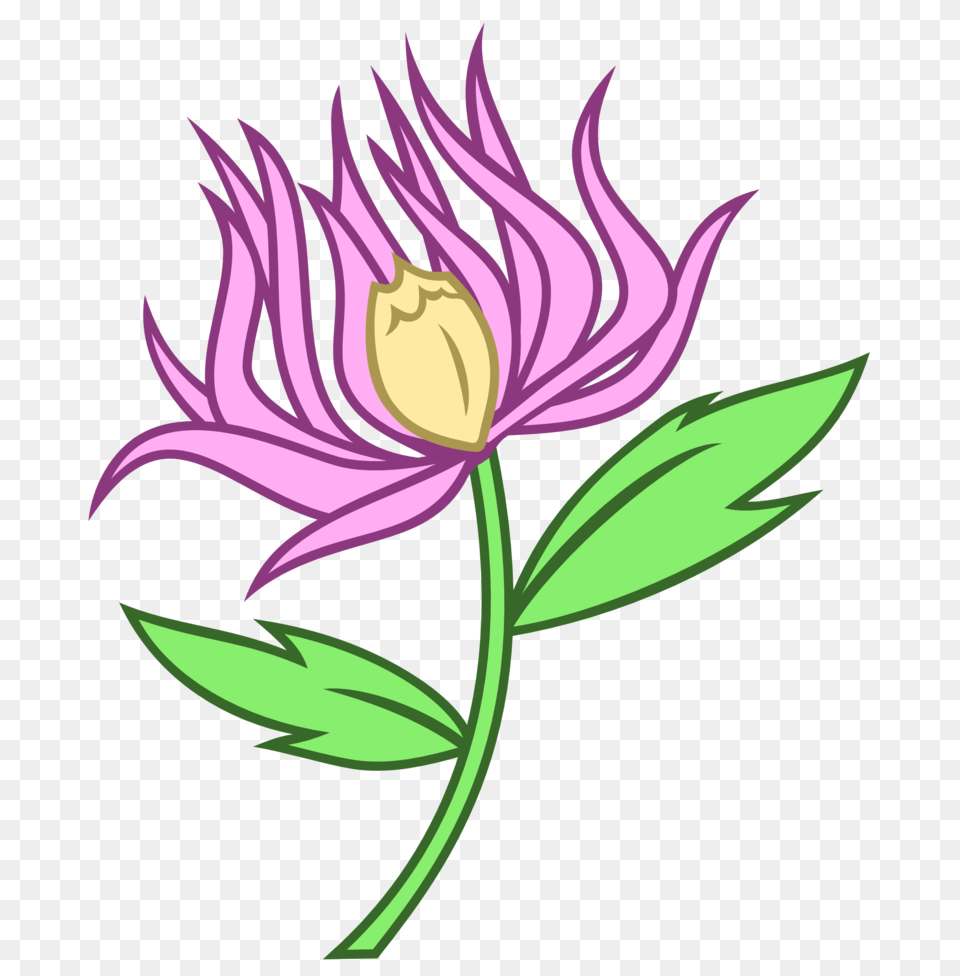 Chrysanthemum Cutie Mark, Flower, Plant, Daisy, Purple Free Transparent Png