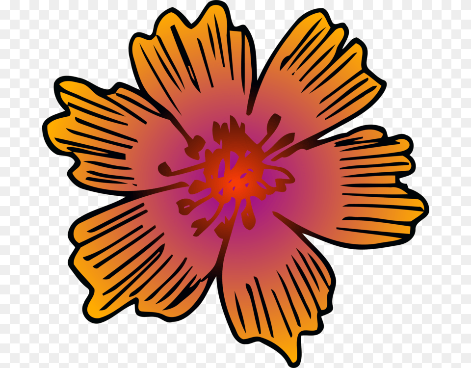 Chrysanthemum Floral Design Flower Symmetry Barberton Daisy, Anther, Petal, Plant, Hibiscus Free Png