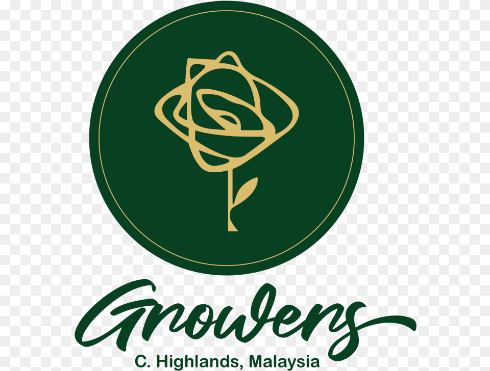 Chrysanthemum Flower Cameron Highlands Malaysia Flower Graphic Design, Logo, Disk Png