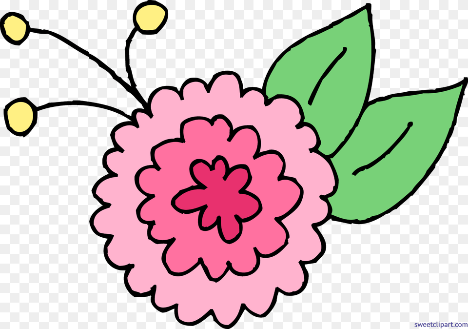 Chrysanthemum Flower Pink Clip Art, Dahlia, Plant, Carnation, Petal Free Transparent Png