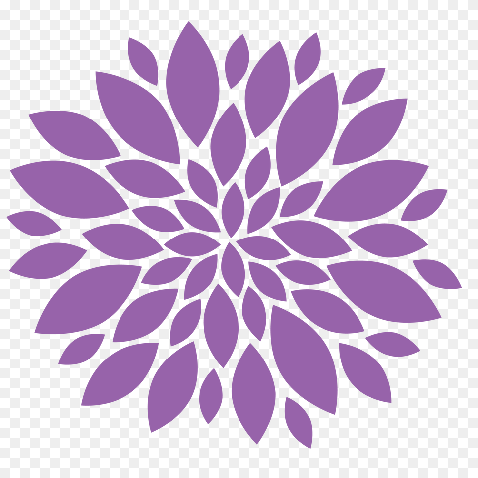 Chrysanthemum Image, Dahlia, Flower, Pattern, Plant Png
