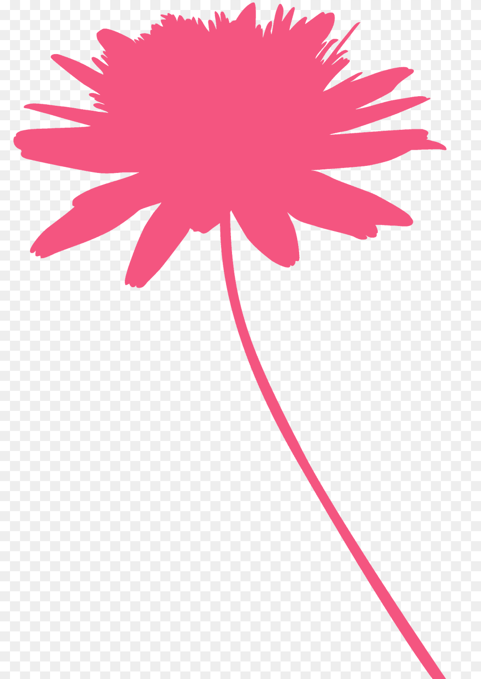 Chrysanthemum Silhouette, Dahlia, Daisy, Flower, Petal Free Png Download