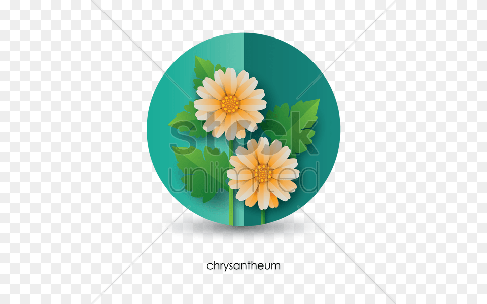 Chrysanthemum Vector Image, Dahlia, Daisy, Flower, Plant Free Png