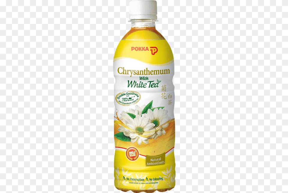 Chrysanthemum White Tea Pokka White Chrysanthemum Tea, Beverage, Herbal, Herbs, Juice Free Transparent Png