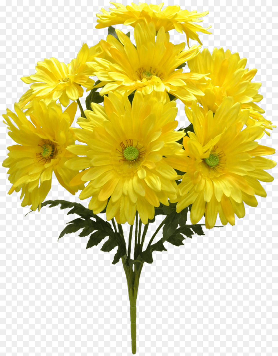 Chrysanths, Dahlia, Daisy, Flower, Flower Arrangement Png