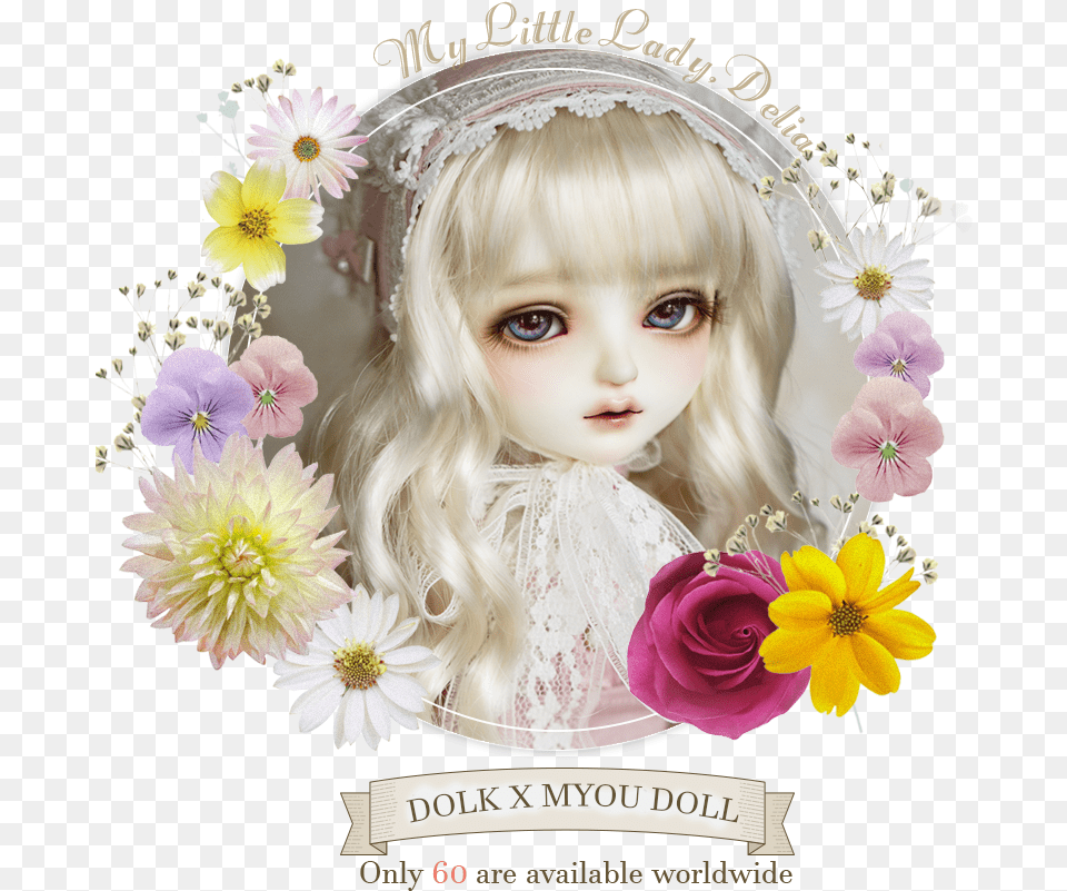 Chrysanths, Doll, Toy, Face, Person Png