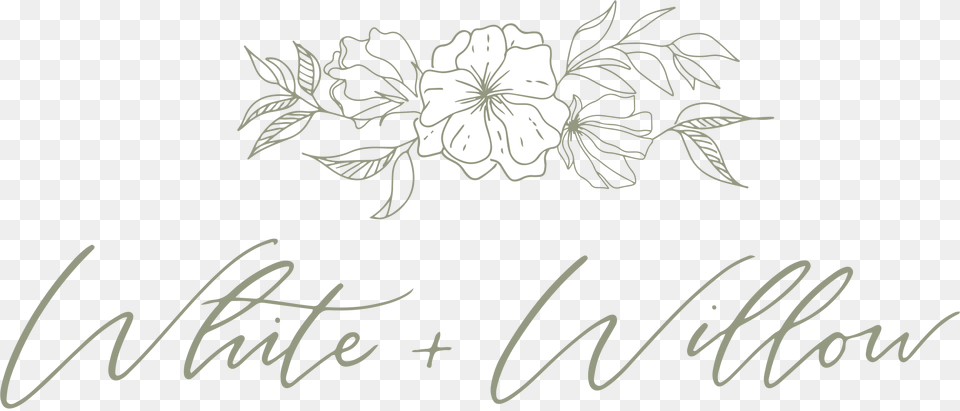 Chrysanths, Handwriting, Text, Plant Free Png Download
