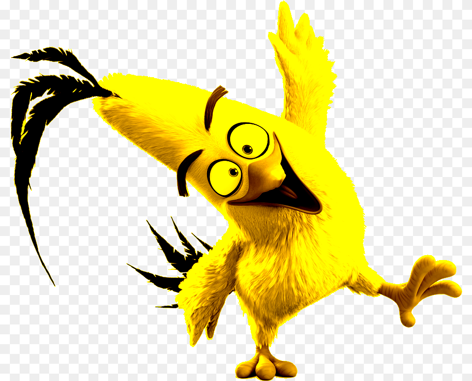 Chuck Angry Birds Movie Characters, Animal, Bird, Cartoon Png