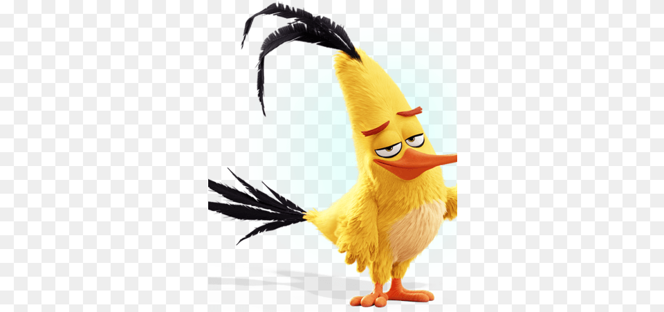 Chuck The Angry Birds Movie Heroes And Villians Wiki Chuck From Angry Birds, Animal, Beak, Bird, Cartoon Free Png