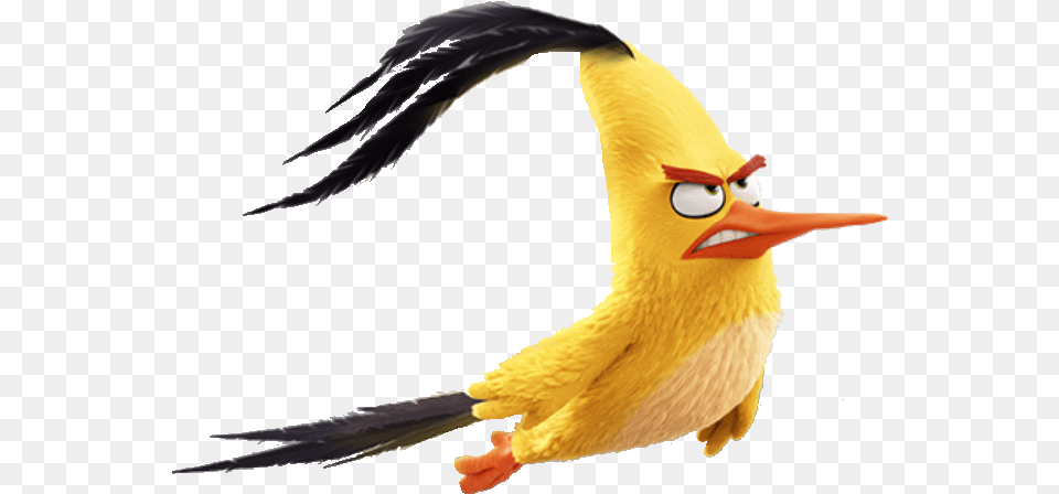 Chuck6 Angry Birds Movie Chuck Flying Image Chuck From Angry Birds, Animal, Beak, Bird Free Transparent Png