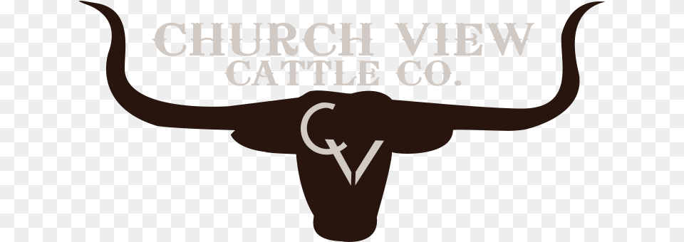 Church View Cattle Co Black Creek, Animal, Livestock, Longhorn, Mammal Free Png Download