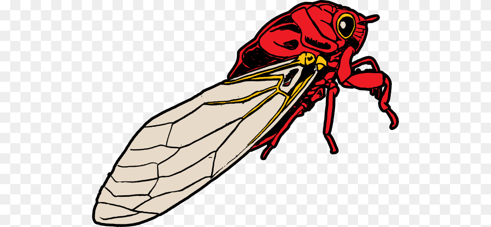 Cicada Bug Clip Art, Animal, Bee, Insect, Invertebrate Free Transparent Png