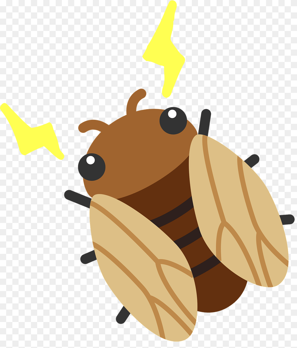 Cicada Insect Clipart, Animal, Bee, Honey Bee, Invertebrate Png Image
