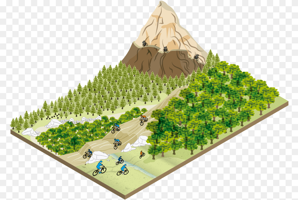 Ciclismo De Middle Ages, Woodland, Outdoors, Tree, Land Free Png Download