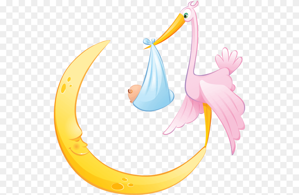 Cicogna E Luna Png