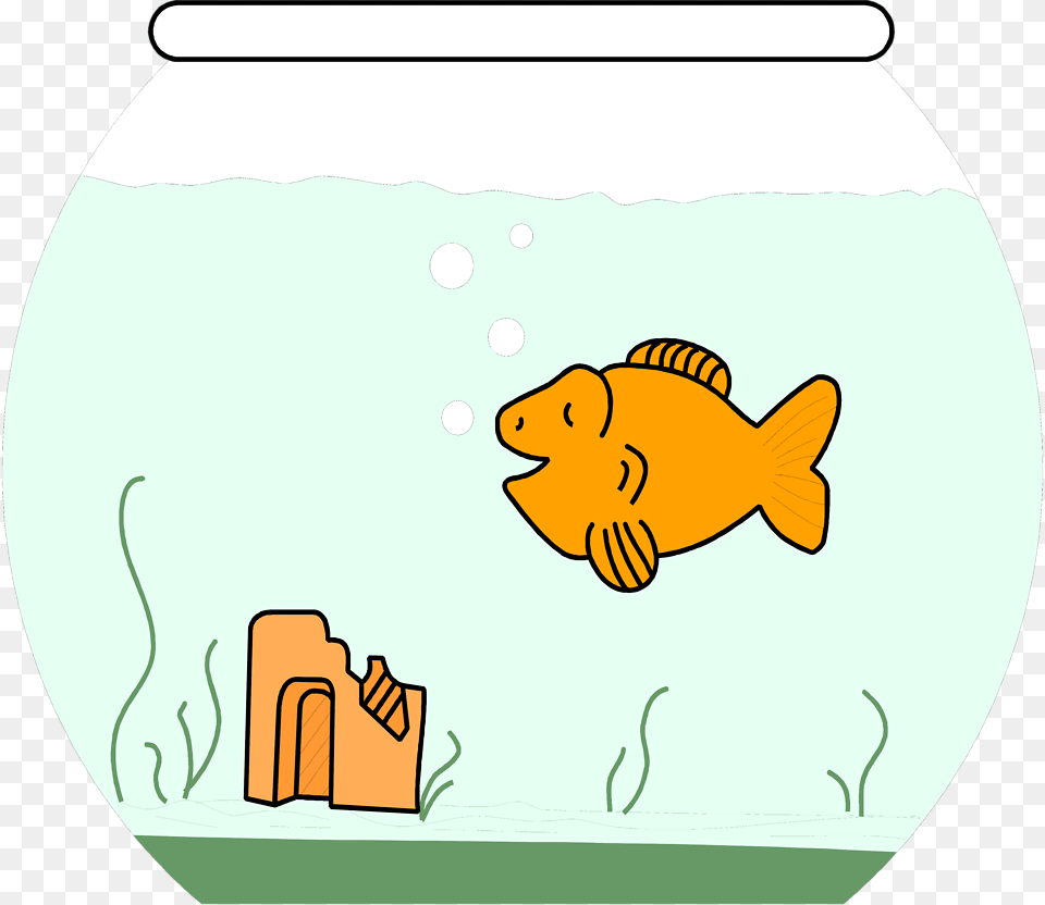 Cidyjufun Kissing Fish Cartoon, Animal, Sea Life, Aquarium, Water Png Image