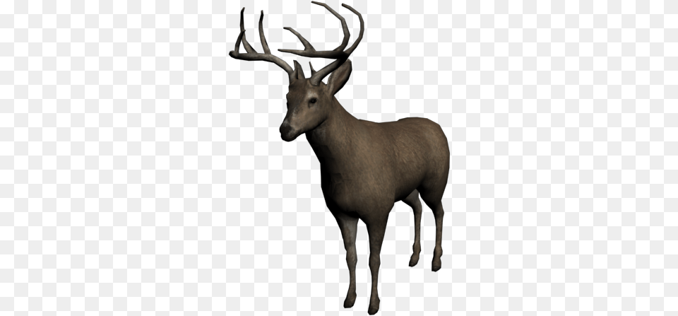 Ciervo Macho Red Dead 2 Buck, Animal, Deer, Elk, Mammal Free Png