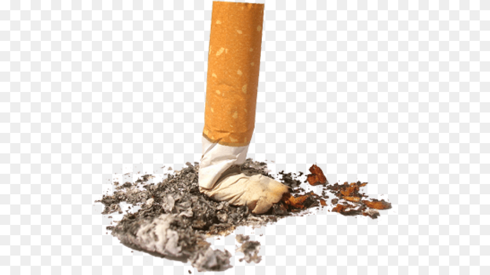 Cigarette Download Don T Litter Cigarette Butts, Ashtray Free Png